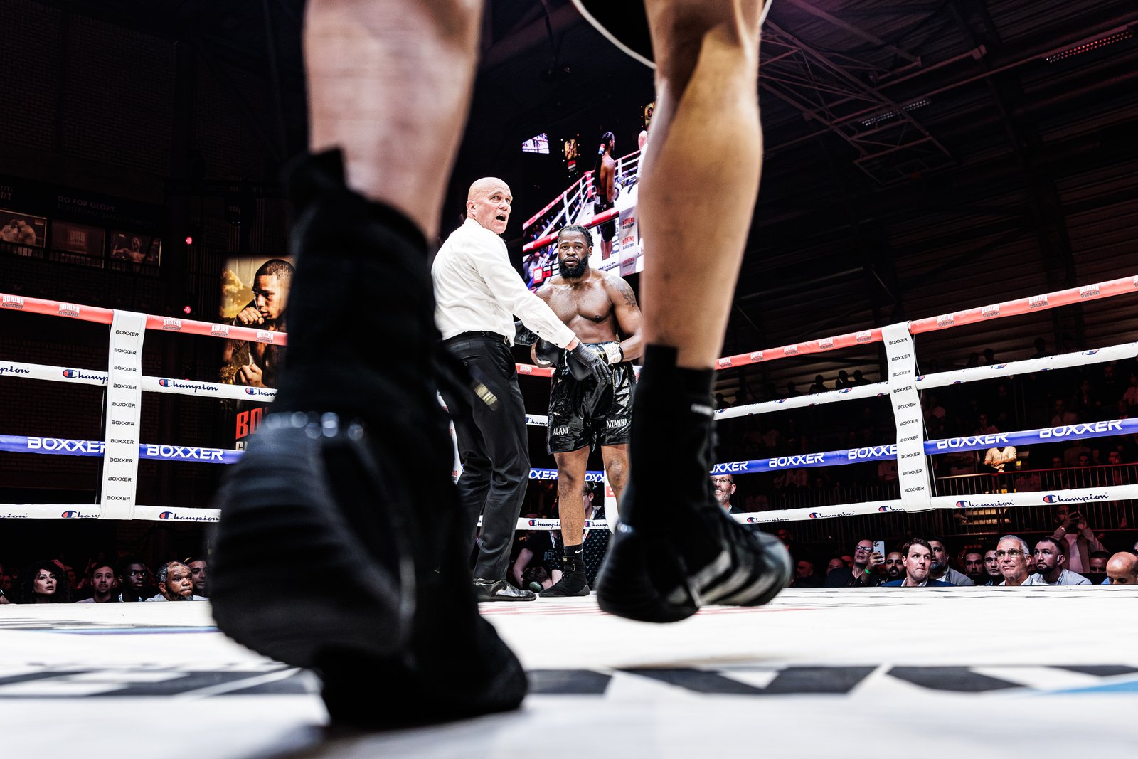 Boxing Gladiators 2-131